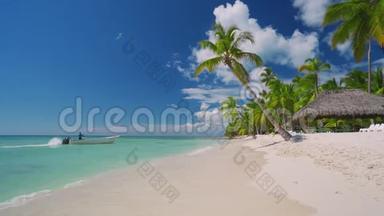 热带加勒比岛屿索纳，多米尼加共和国。 美丽的海滩、棕榈树和清澈的海水